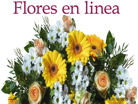 Flores para Cada Ocasión: Inspiración Floral en Valle del Cauca